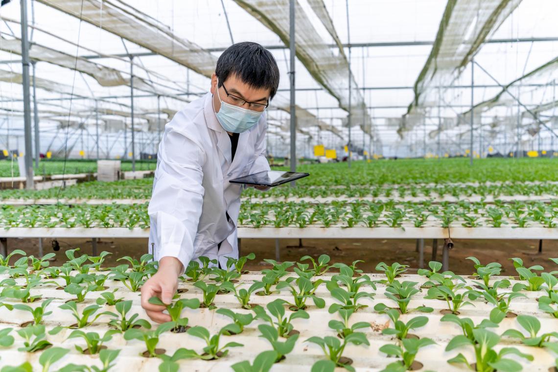 农业营销工程技术培训 赋能全产业链的价值提升